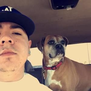 Meet your Posher, Frankie